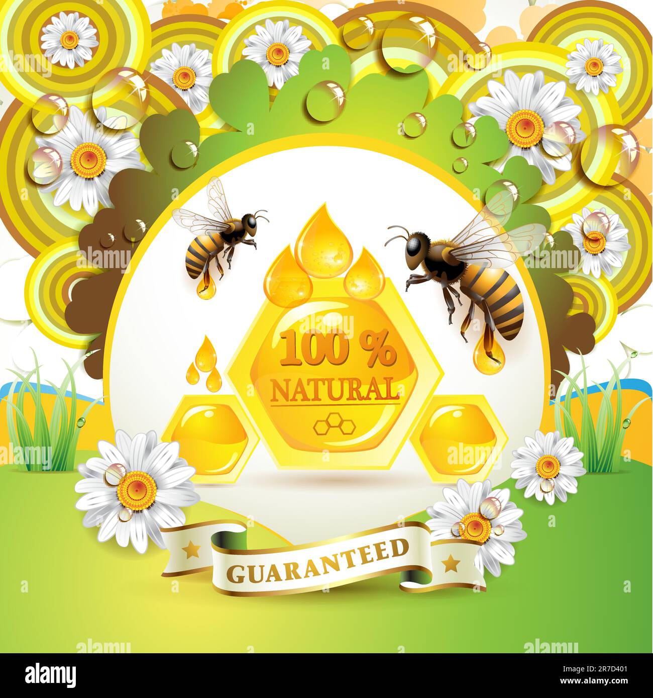 Bees and honeycombs over floral background with drops Stock Vector