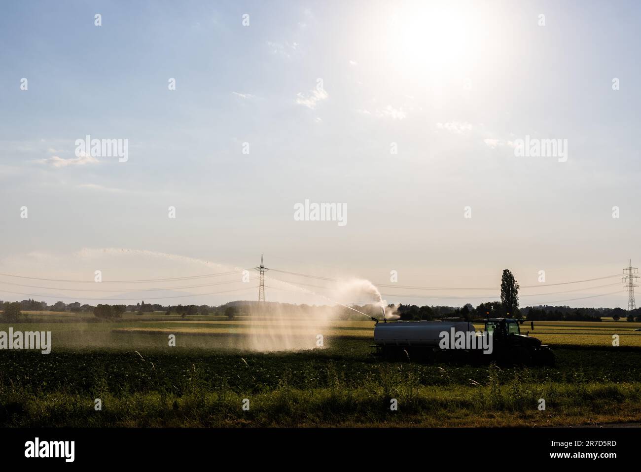 Ehrenkirchen, Germany. 14th June, 2023. A farmer sprays water from a tanker truck on a field. The persistent drought in southern Baden is causing problems for nature, and many farmers are worried about crop yields. Credit: Philipp von Ditfurth/dpa/Alamy Live News Stock Photo