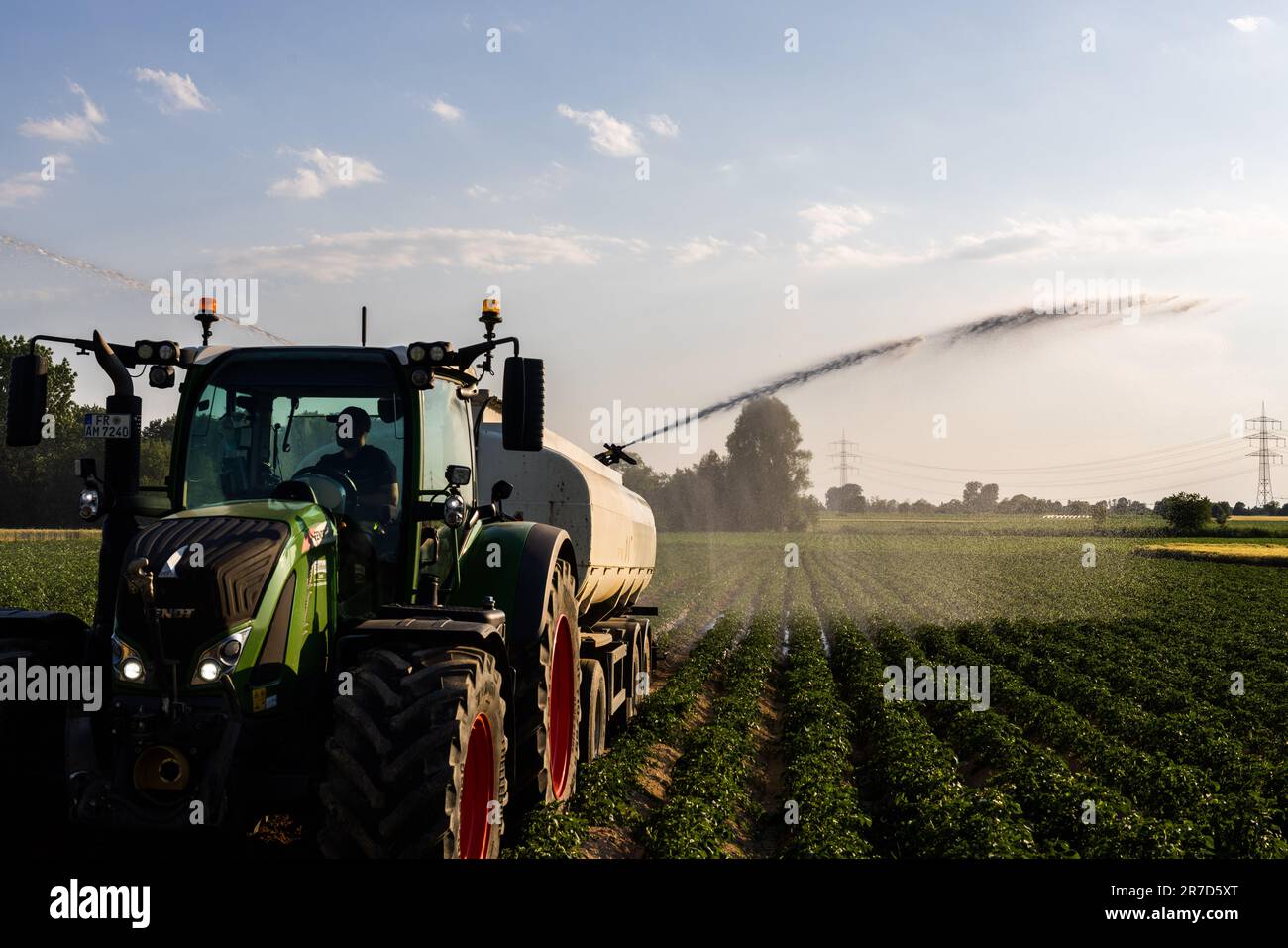 Ehrenkirchen, Germany. 14th June, 2023. A farmer sprays water from a tanker truck on a field. The persistent drought in southern Baden is causing problems for nature, and many farmers are worried about crop yields. Credit: Philipp von Ditfurth/dpa/Alamy Live News Stock Photo