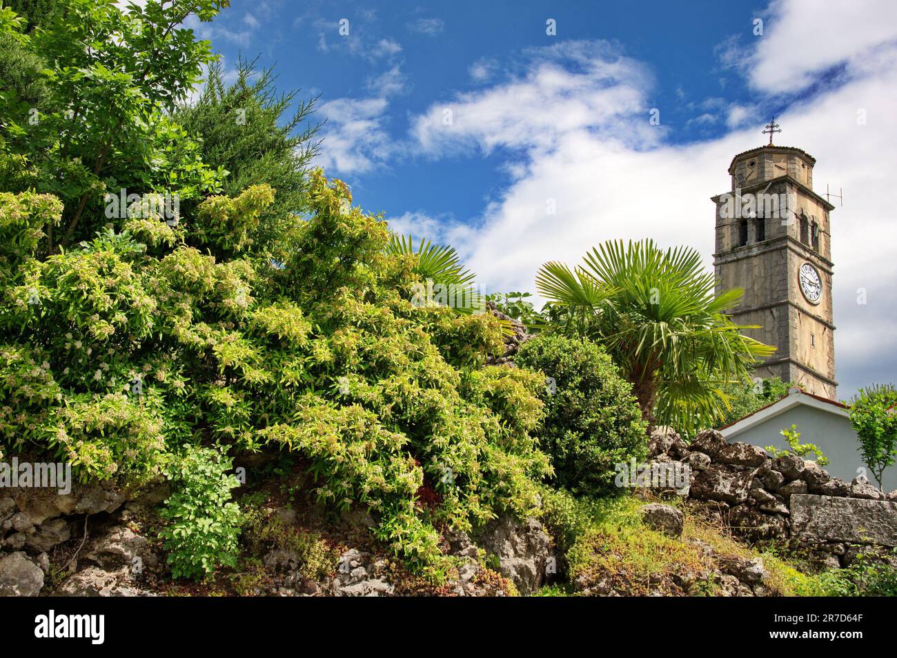 The old church bell tower behind the stone wall overgrown with greenery Stock Photo