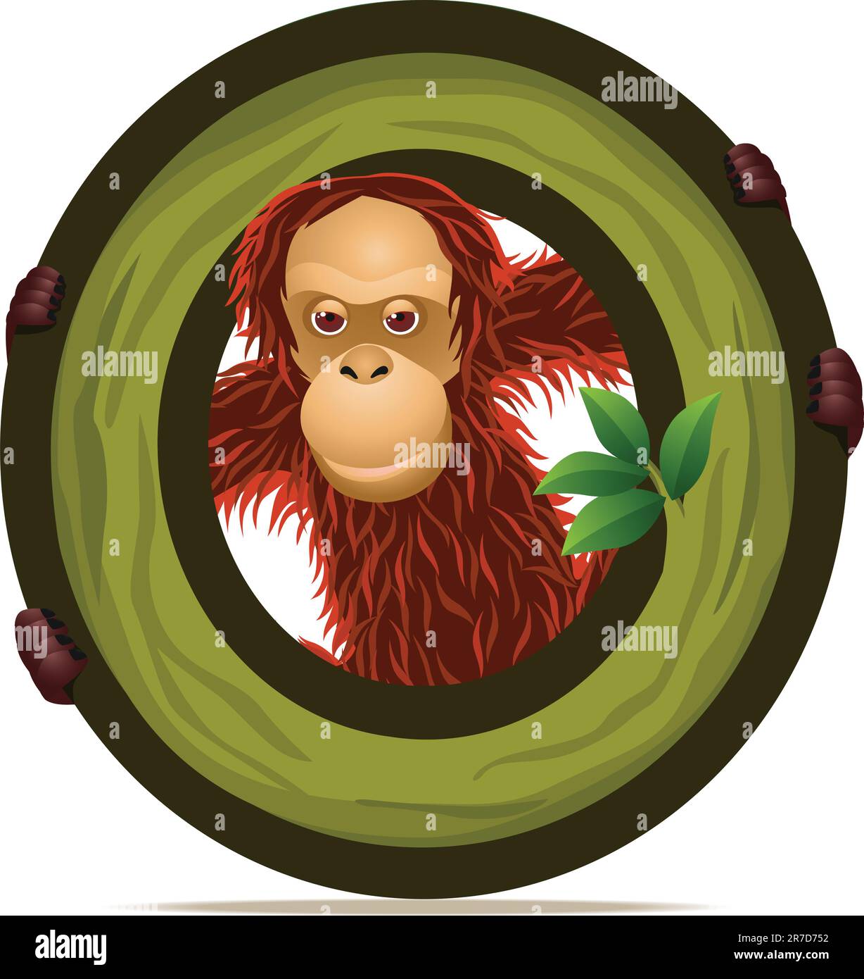 animal alphabet O with Orangutan cartoon Stock Vector
