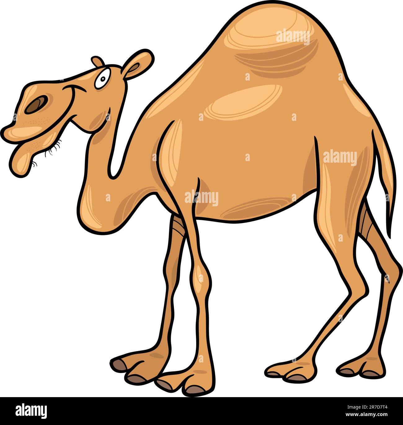 cartoon illustration of dromedary camel Stock Vector