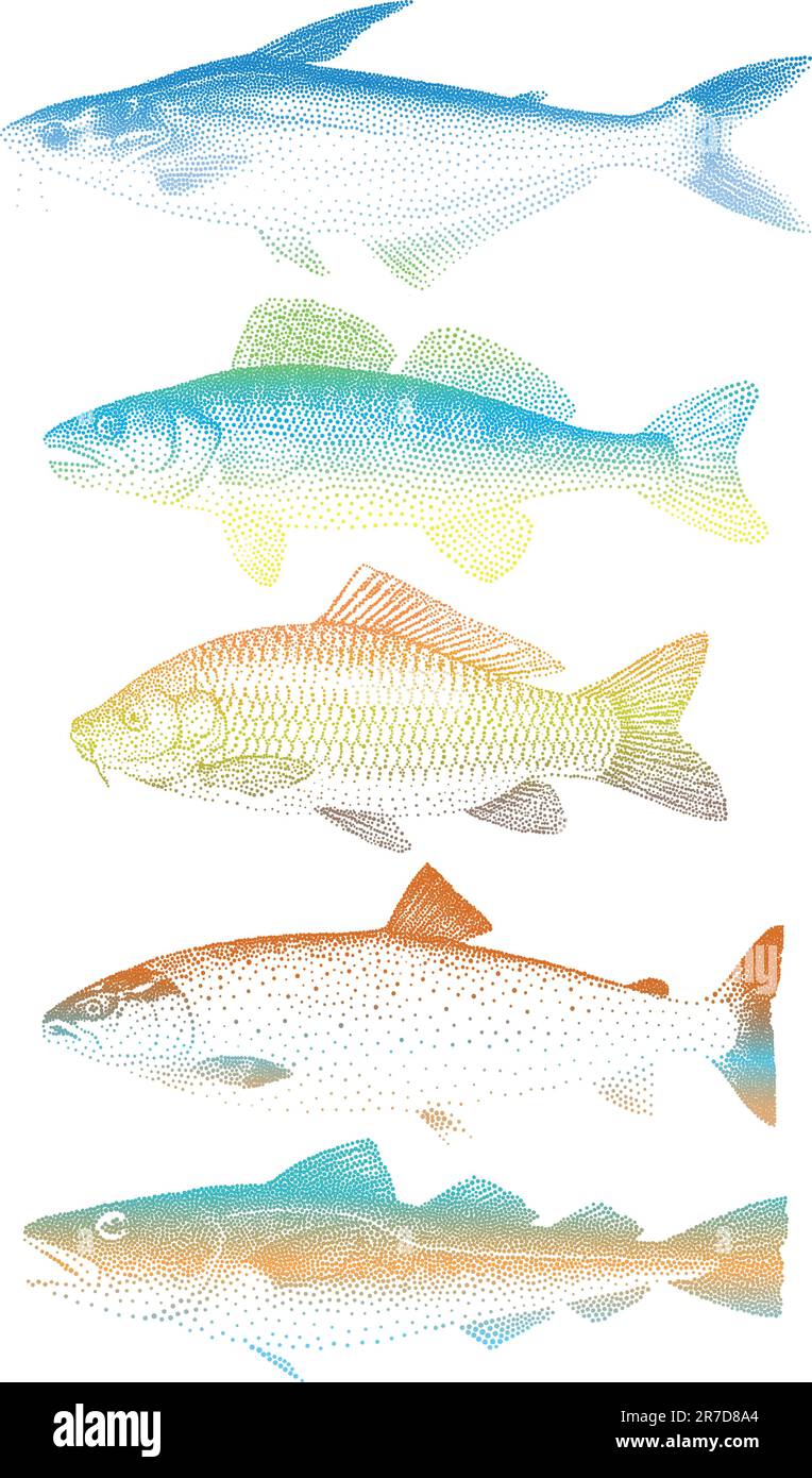set of colorful fishes, vector Stock Vector