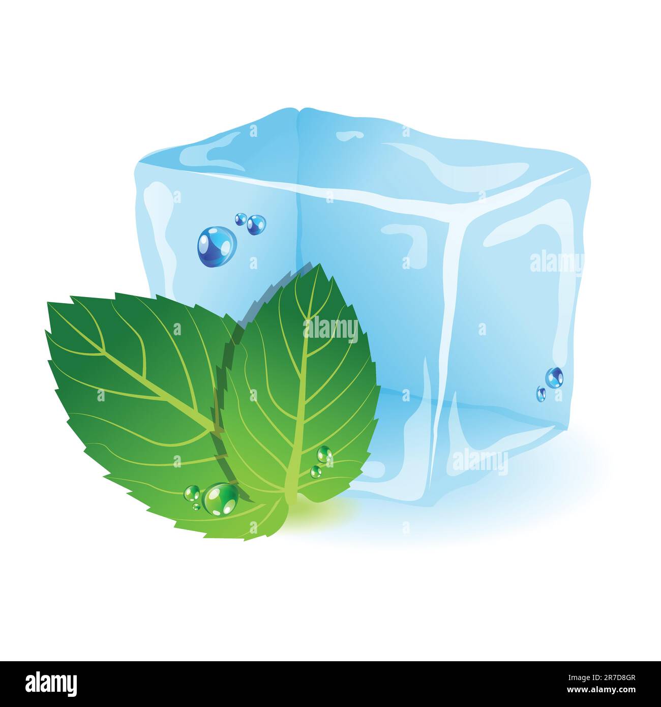 Vector picture with ice and mint leaf Stock Vector Image & Art - Alamy
