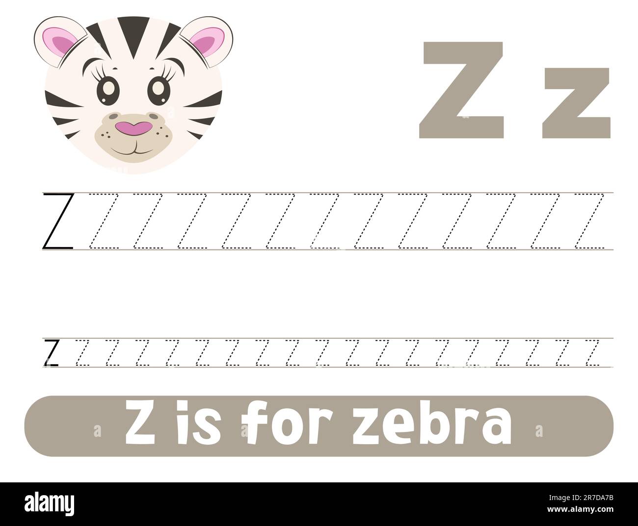 Tracing alphabet letter Z with cute zebra. Worksheet for children