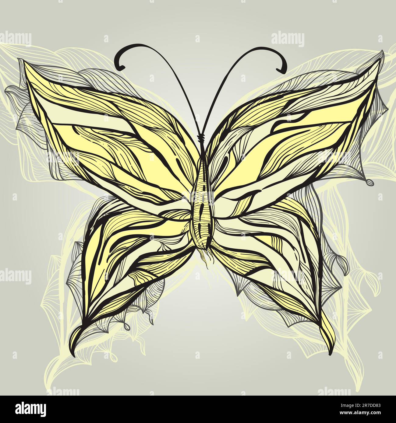 vector hand drawn beautiful butterfly, vintage style Stock Vector Image ...