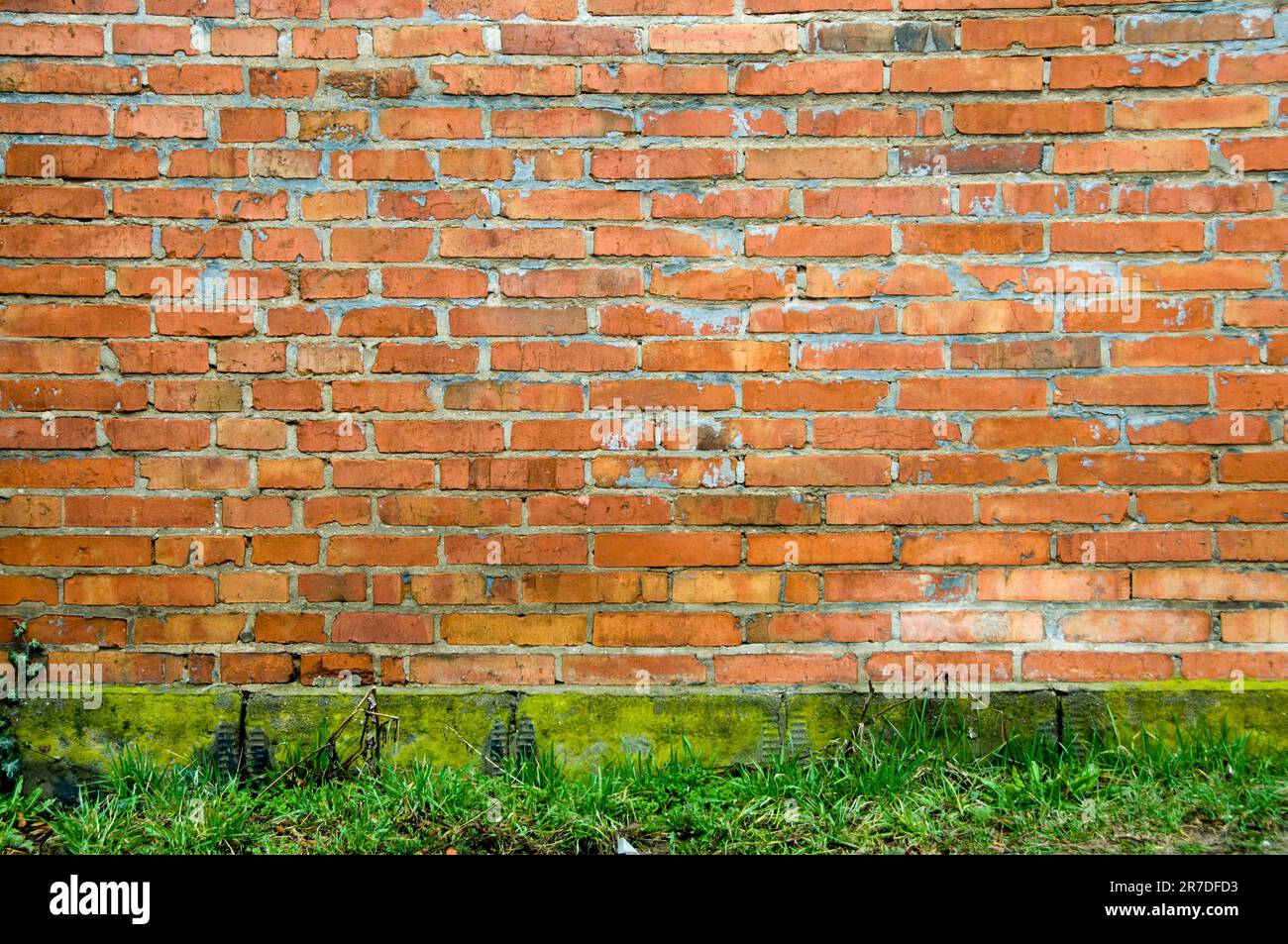 bricks wall and grass as backdrop Stock Photo Alamy