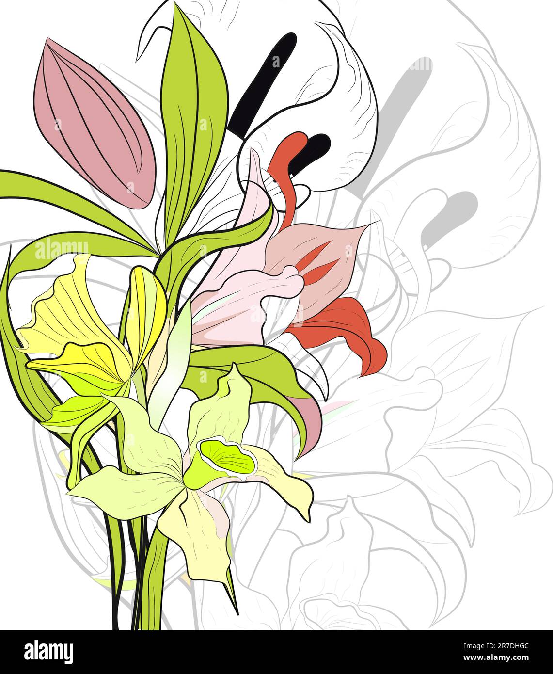 Spring background with lily flowers Stock Vector Image & Art - Alamy