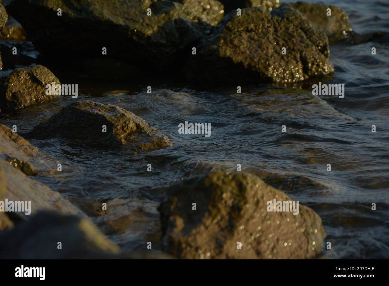 Shoreline featuring lake rocks hi-res stock photography and images - Alamy