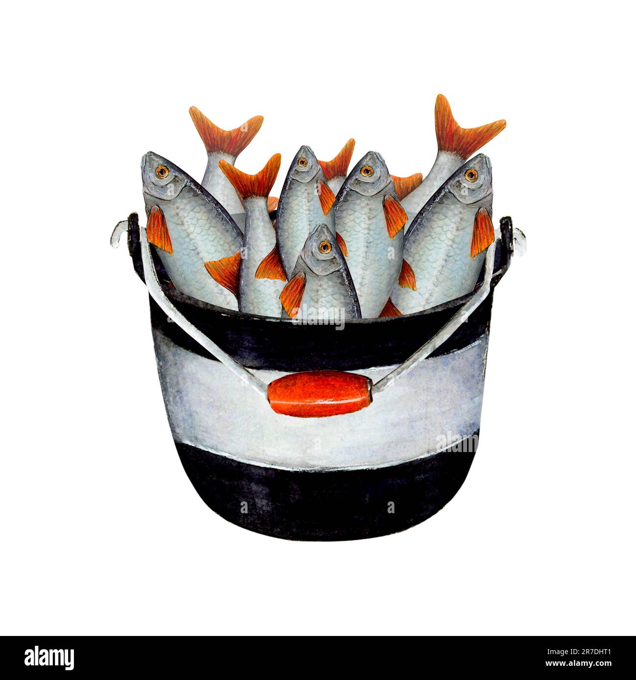 Bucket full fish hi-res stock photography and images - Page 2 - Alamy