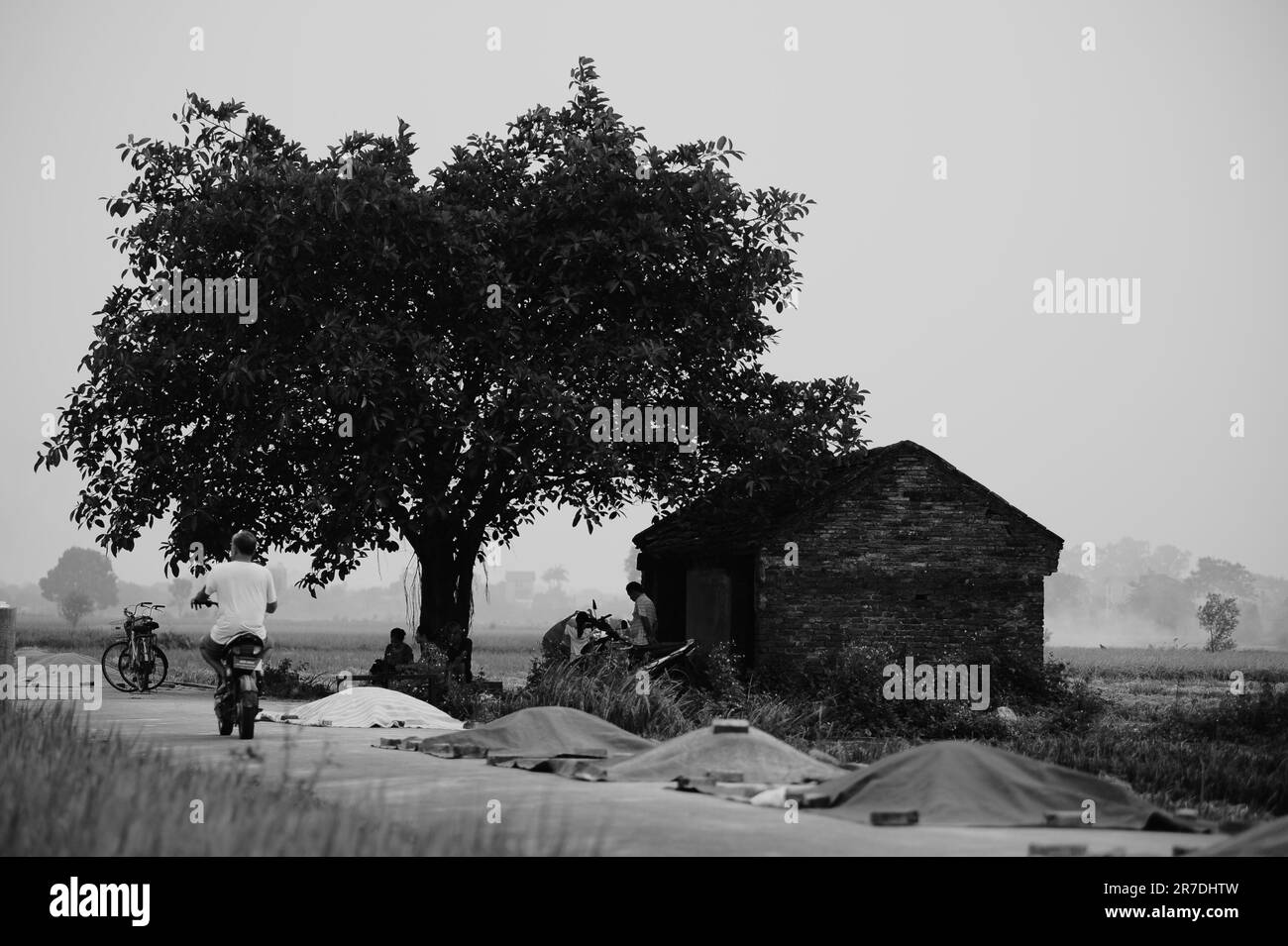 Black and white countryside Stock Photo - Alamy