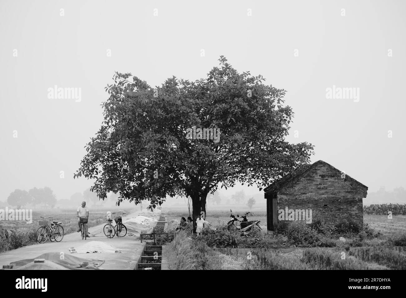 Black and white countryside stock photo alamy