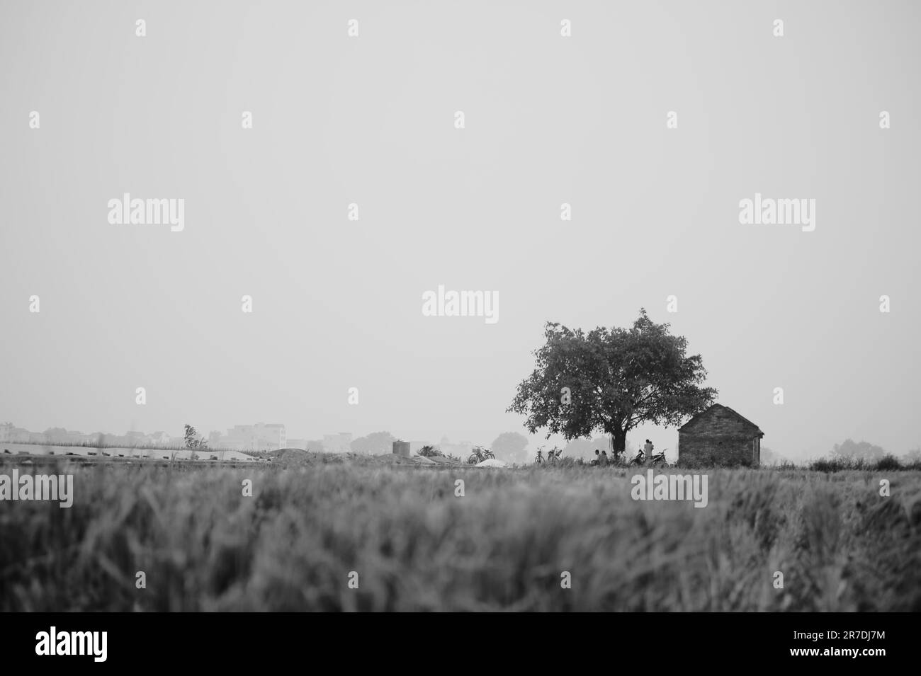 Black and white countryside Stock Photo - Alamy