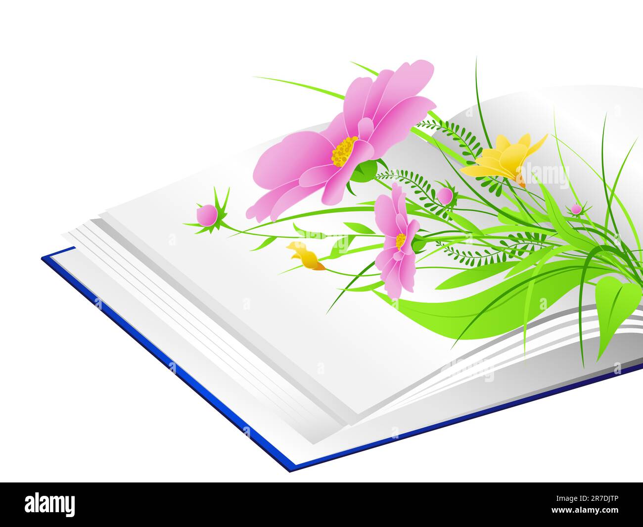 Open Book With Pink Flowers And Green Grass On A White Background Stock