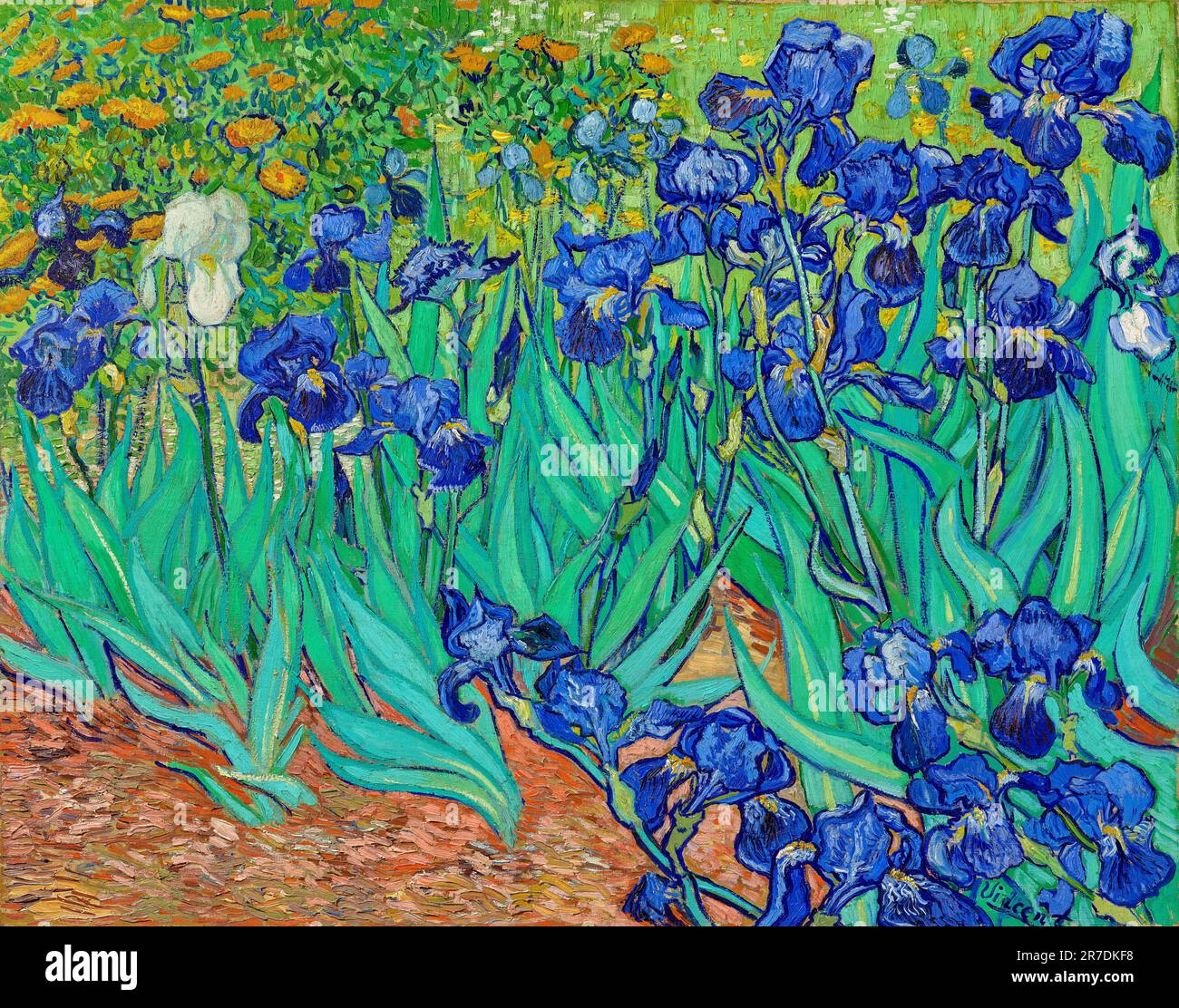 Vincent van Gogh, Irises, painting in oil on canvas, 1889 Stock Photo