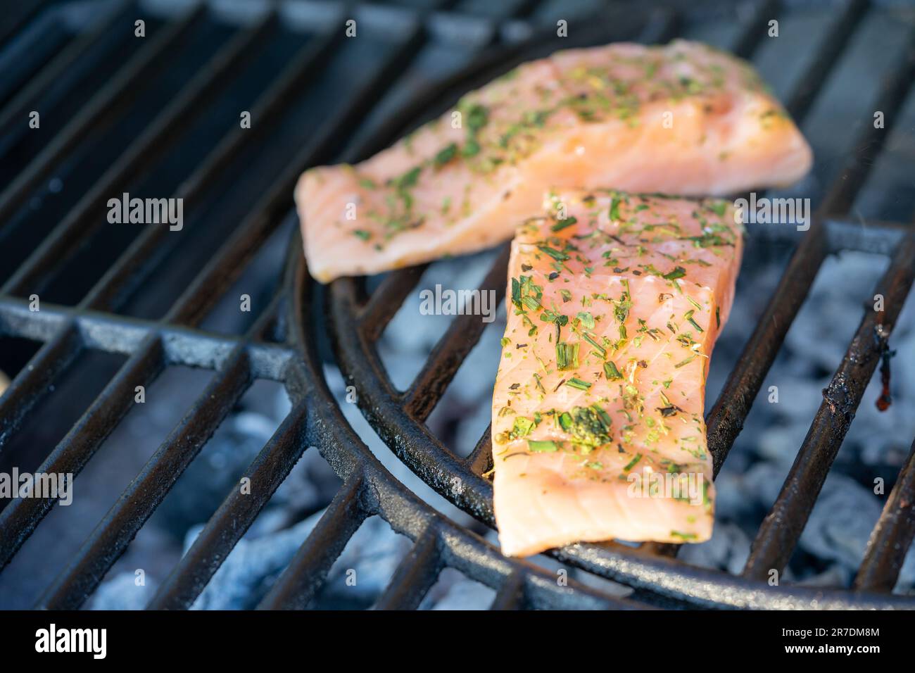 grilled salmon on the grill Stock Photo