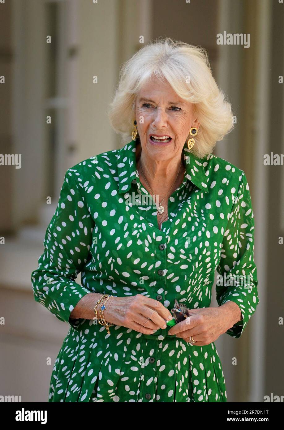 Queen Camilla names the new Household Cavalry Drum Horse at Clarence