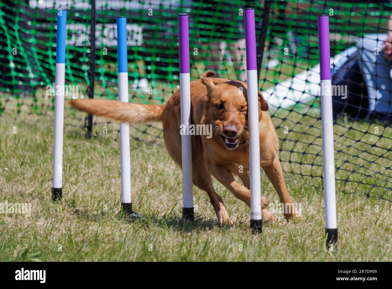 Royal Bath and West Show 2023, Bath and West showground, Somerset Stock Photo Alamy