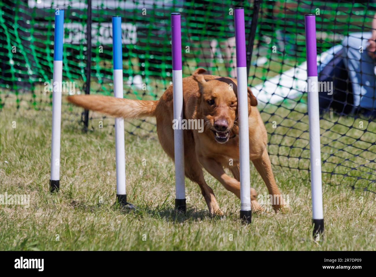 Royal Bath and West Show 2023, Bath and West showground, Somerset Stock Photo