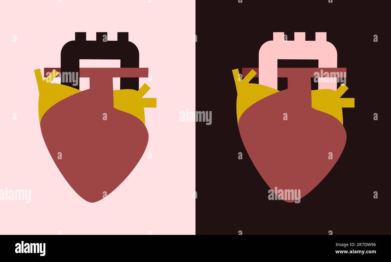 Minimalistic flat illustration of human heart and aorta. Anatomy illustration. Stock Vector