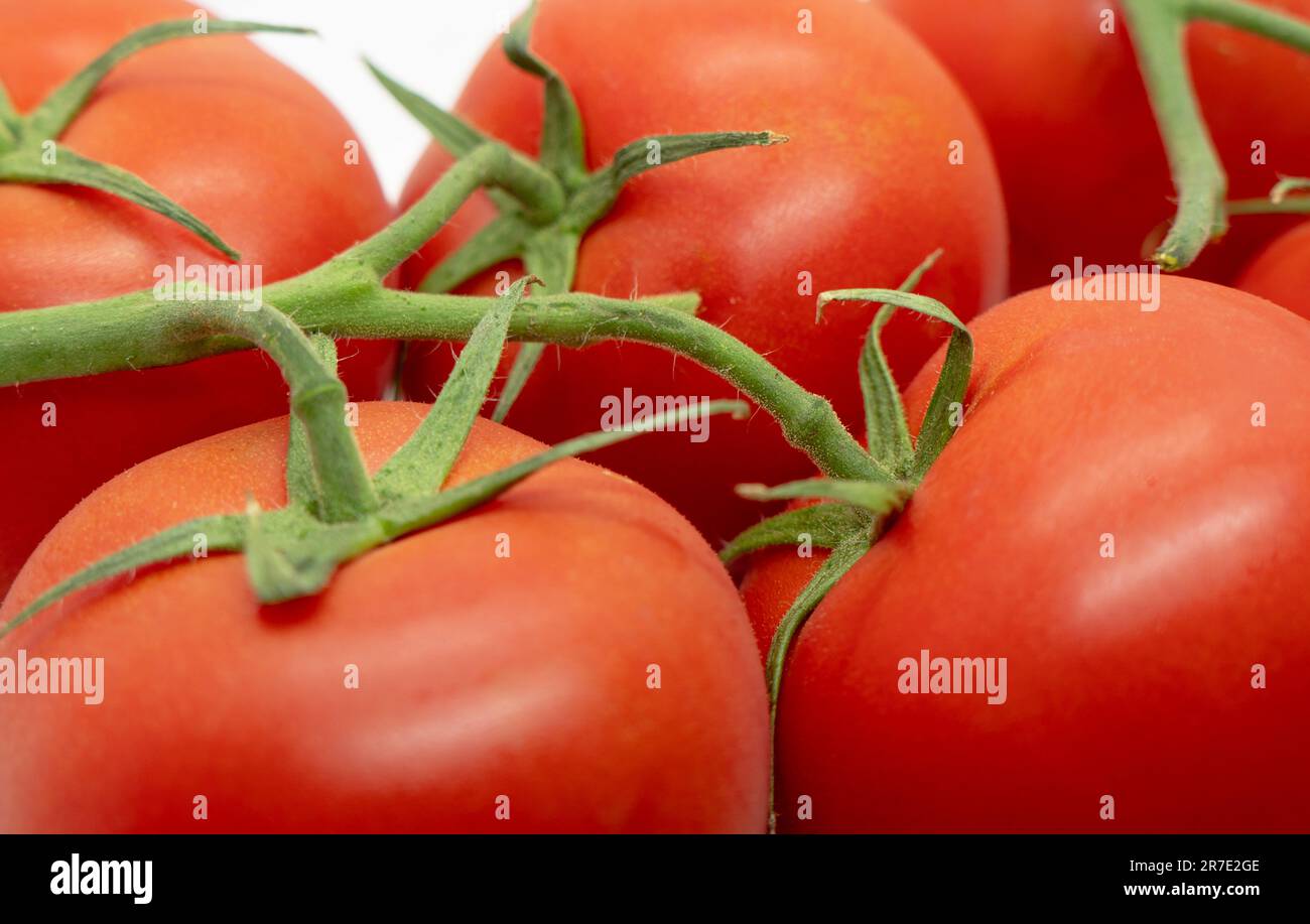 Tomato texture background. Top view. Fresh cherry tomatoes pattern. Heap of tomato Stock Photo