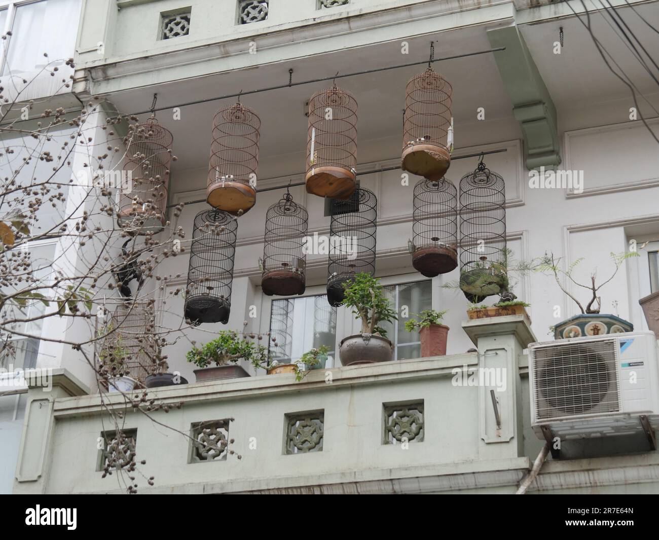 Bird in Cage, Old District of Hanoi, the 36 corporations District, Vietnam Stock Photo