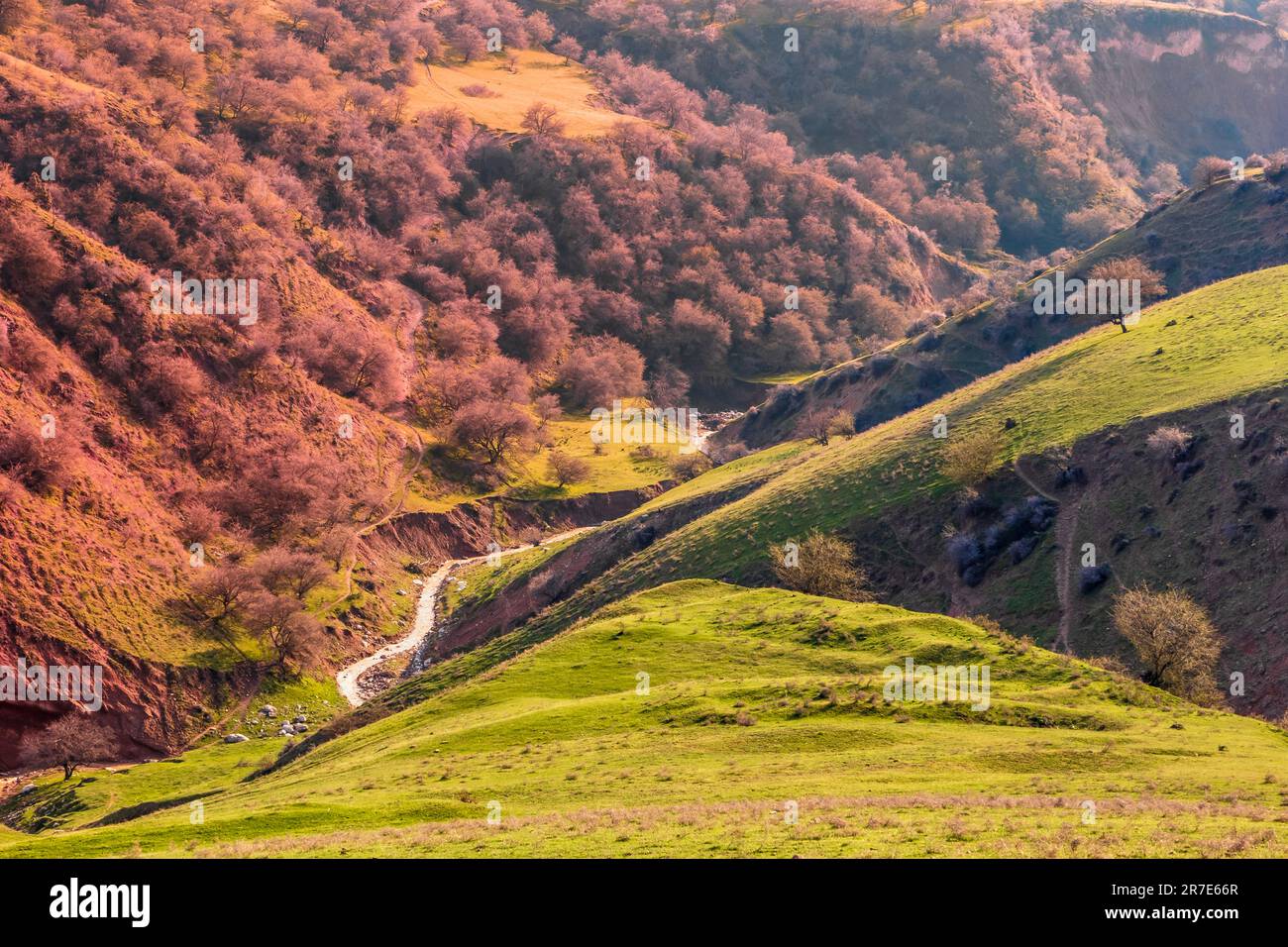 Background with a view of the valley in the mountains with a special mood Stock Photo