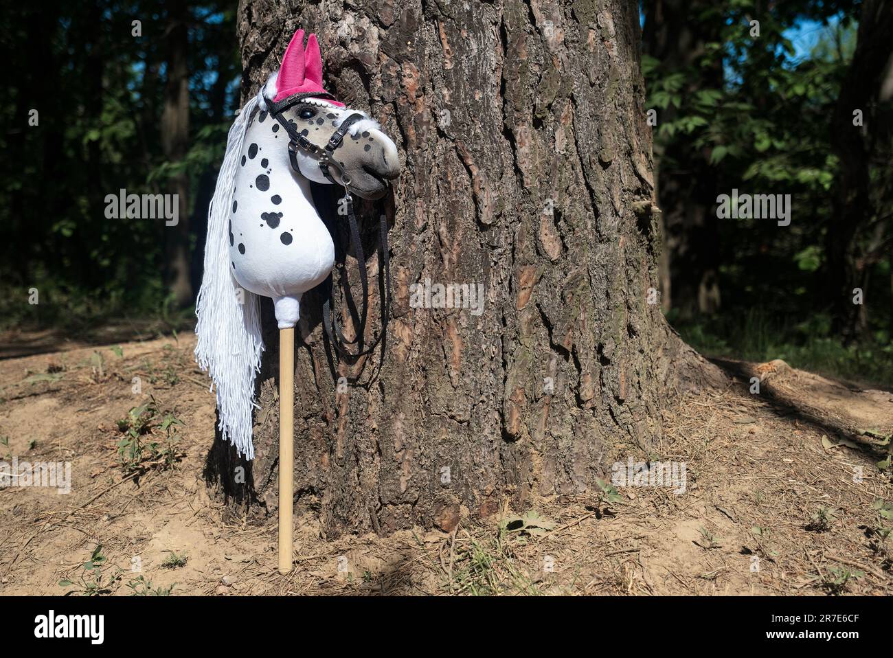 Stick horse, hobby horse. Equestrian sports. Equestrian equipment