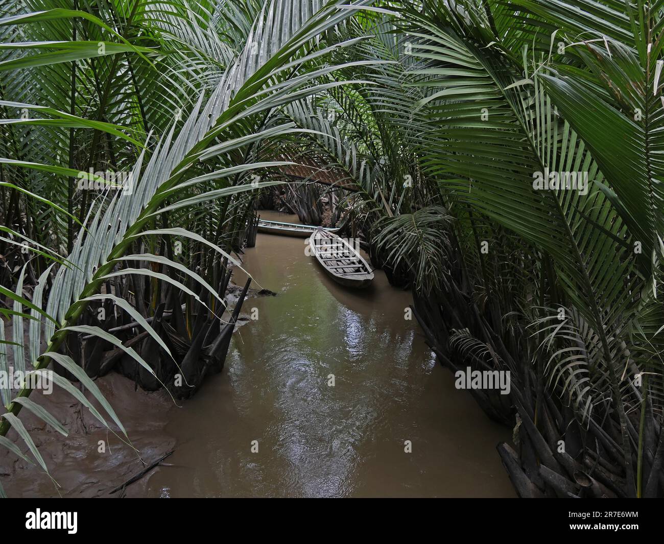 vietnam, Mekong Delta, Landscape Stock Photo