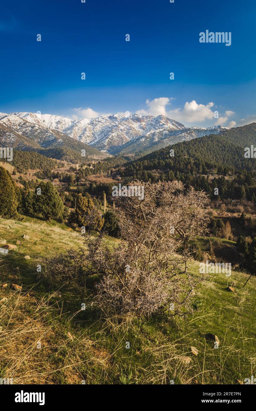 Distant italian mountain view hi-res stock photography and images - Alamy