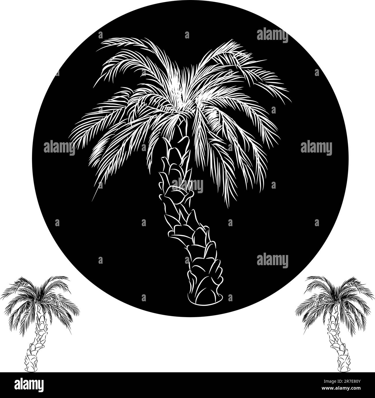 An image of a palm tree drawing Stock Vector Image & Art Alamy