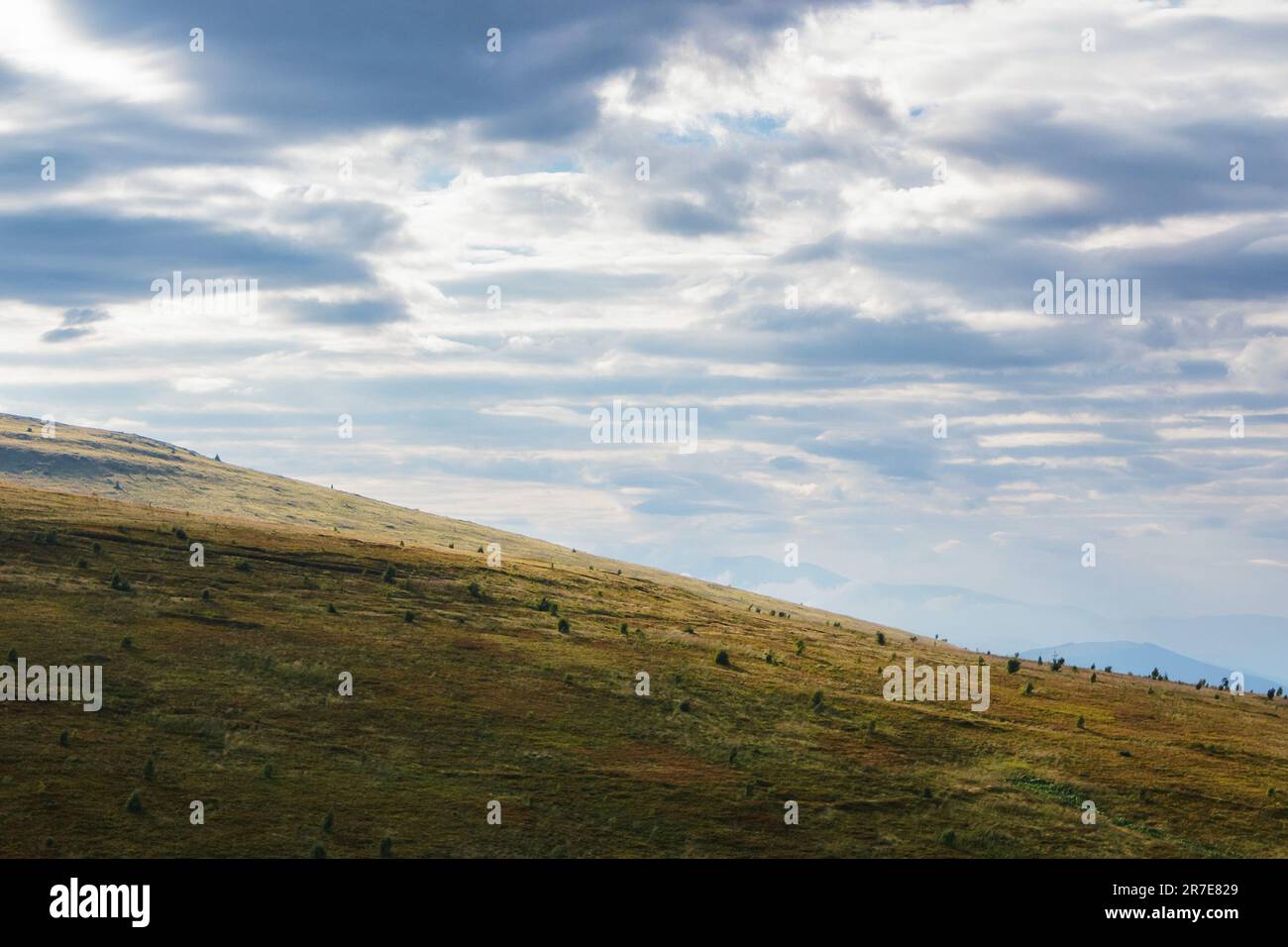 mountain valley in morning mist view from above. ukrainian carpathian countryside Stock Photo