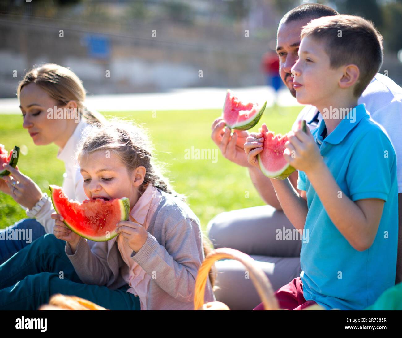 Father, mother, daughter and son enjoy eating watermelon at picnic in ...