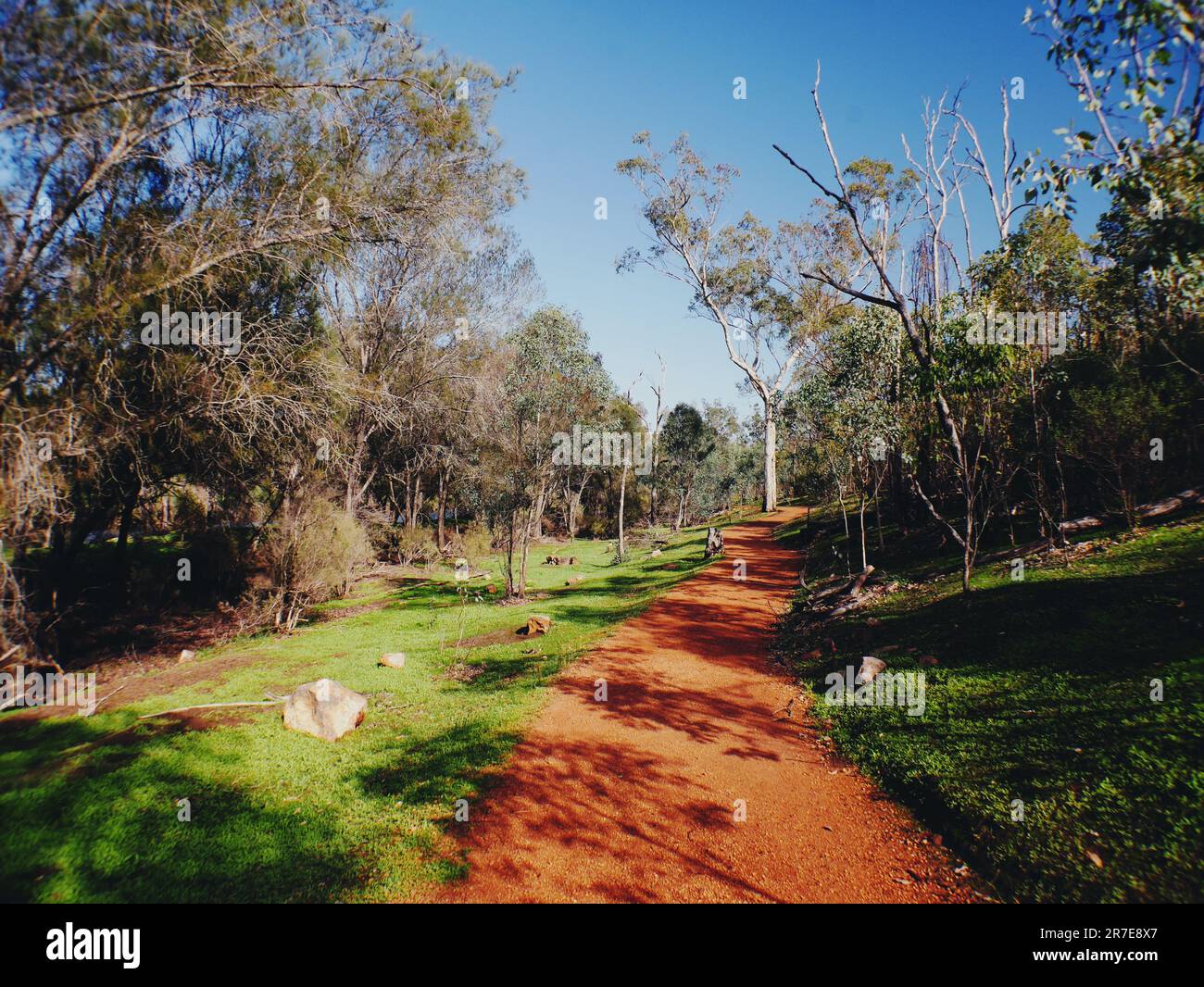Trail Along Creek, Avon Valley National Park Western Australia Stock Photo