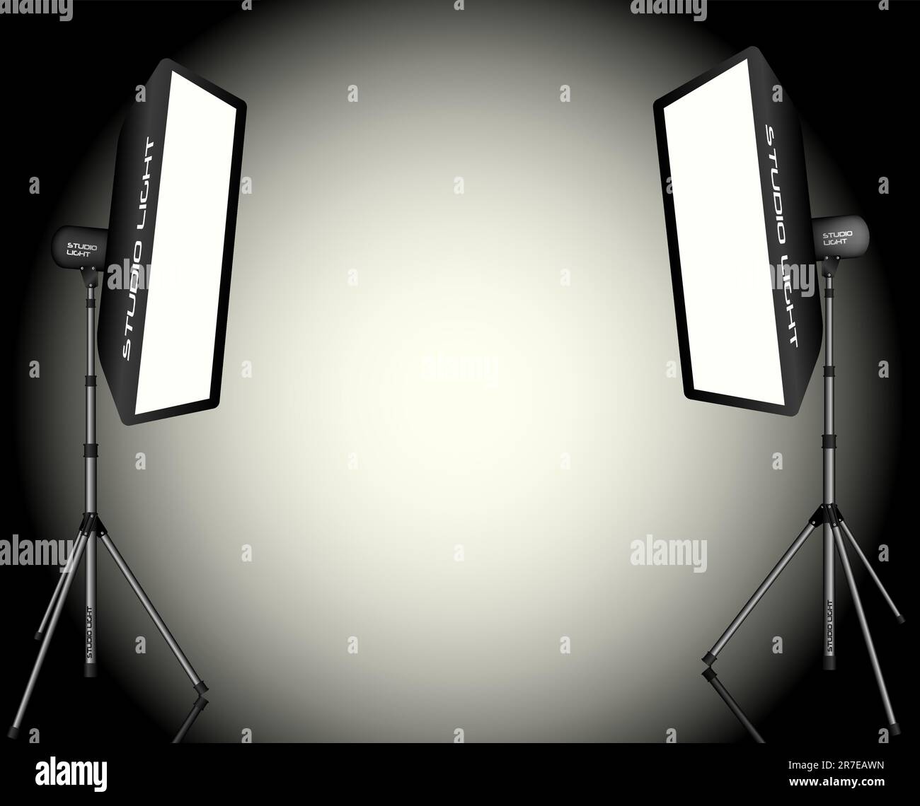 Photographic LIghting Two Professional Studio Lights with Soft Boxes