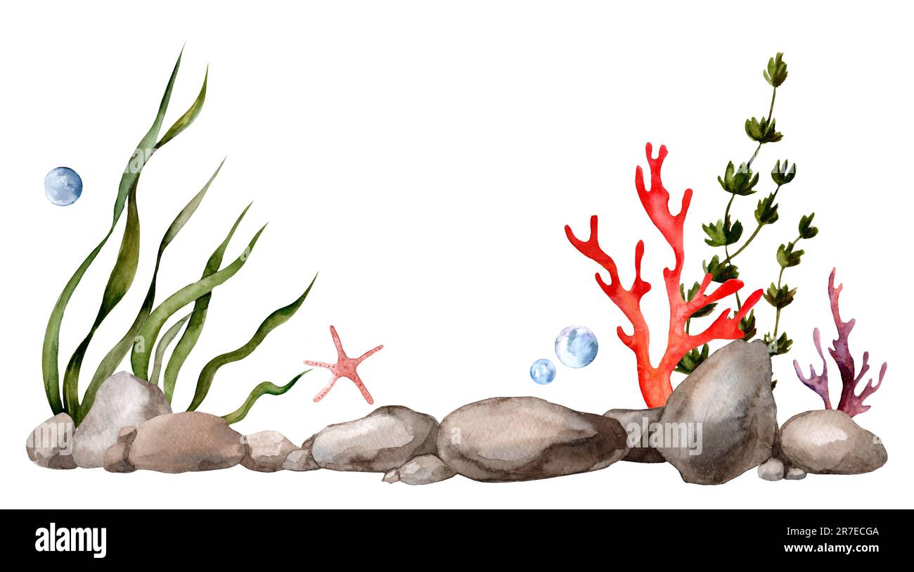 Realistic illustration of the seabed in watercolor. Horizontal banner for decoration with stones and algae with free space for text. Aquarium Stock Photo
