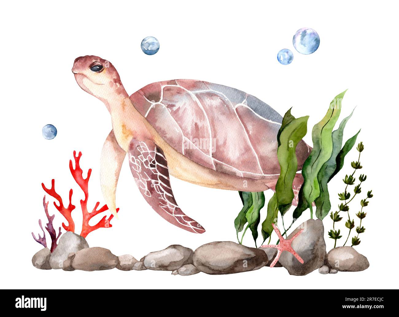 Realistic sea turtle illustration painted in watercolor. Image of sea creatures swimming in the
