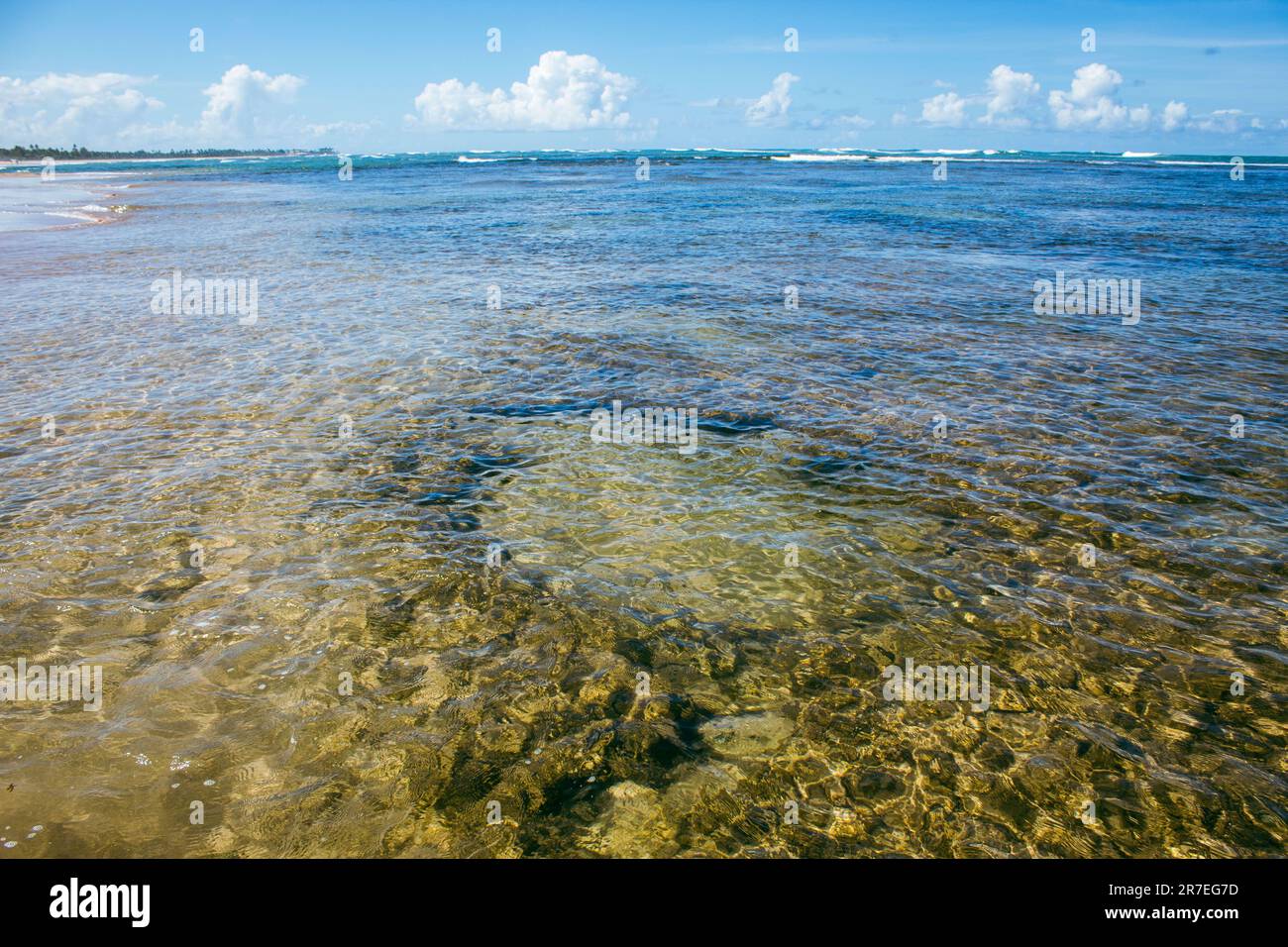 clear water in a paradise beach Stock Photo