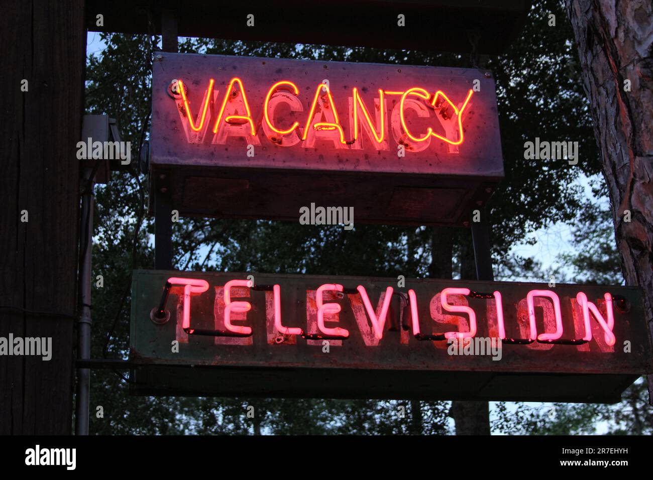 Vintage Neon Signs Near Motel and Cabins in Rural East Tx Stock Photo