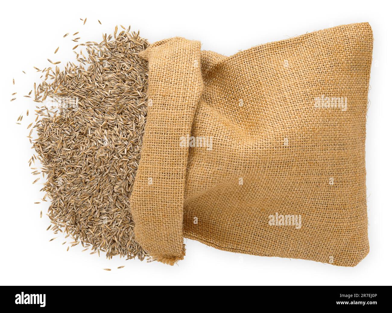 burlap bag full of grass seeds, top view isolated on white background