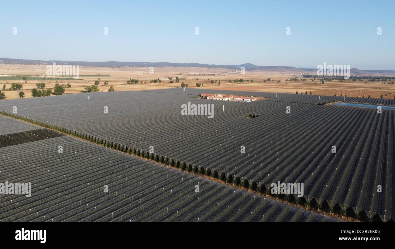 Aerial view of a rural agricultural landscape with green fields, trees ...