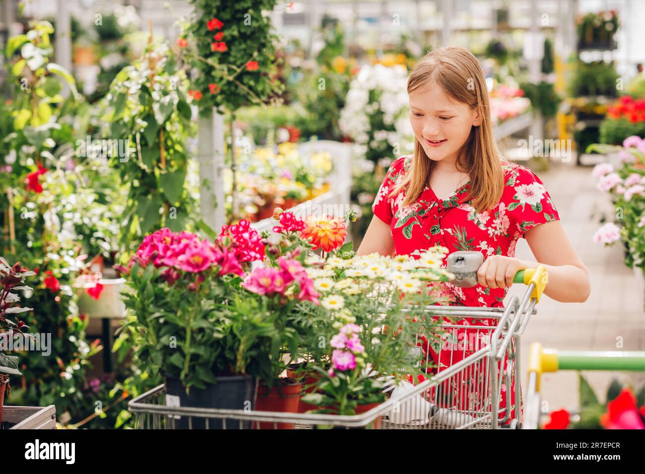 Adorable little girl choosing flowers in garden center Stock Photo Alamy