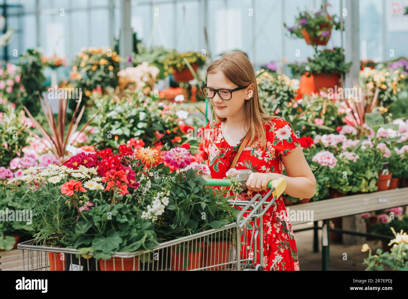 Adorable little girl choosing flowers in garden center Stock Photo Alamy