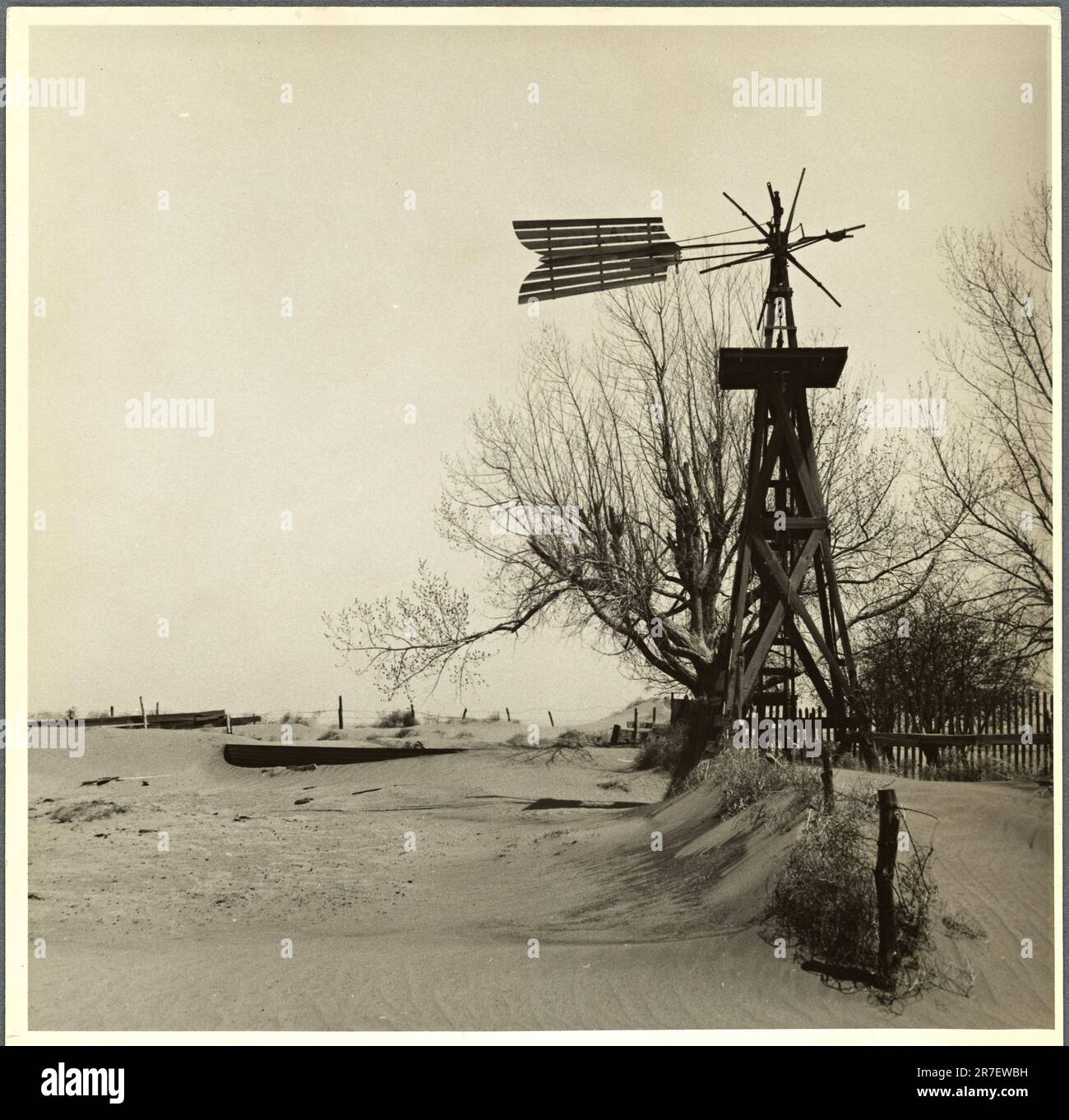 Windmill and tank on an abandoned farm. Cimarron County, Oklahoma