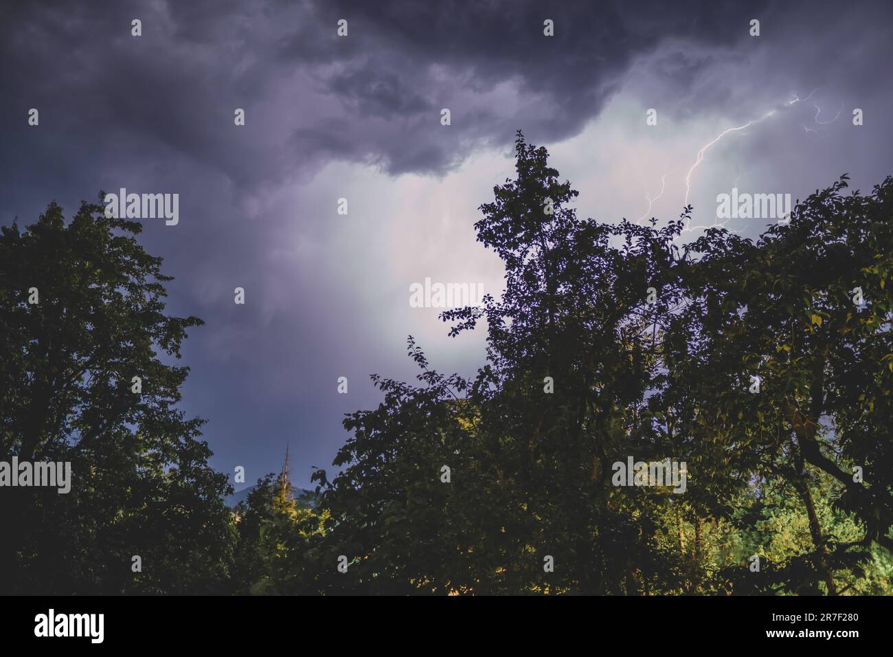 Lightning in the night forest Stock Photo - Alamy