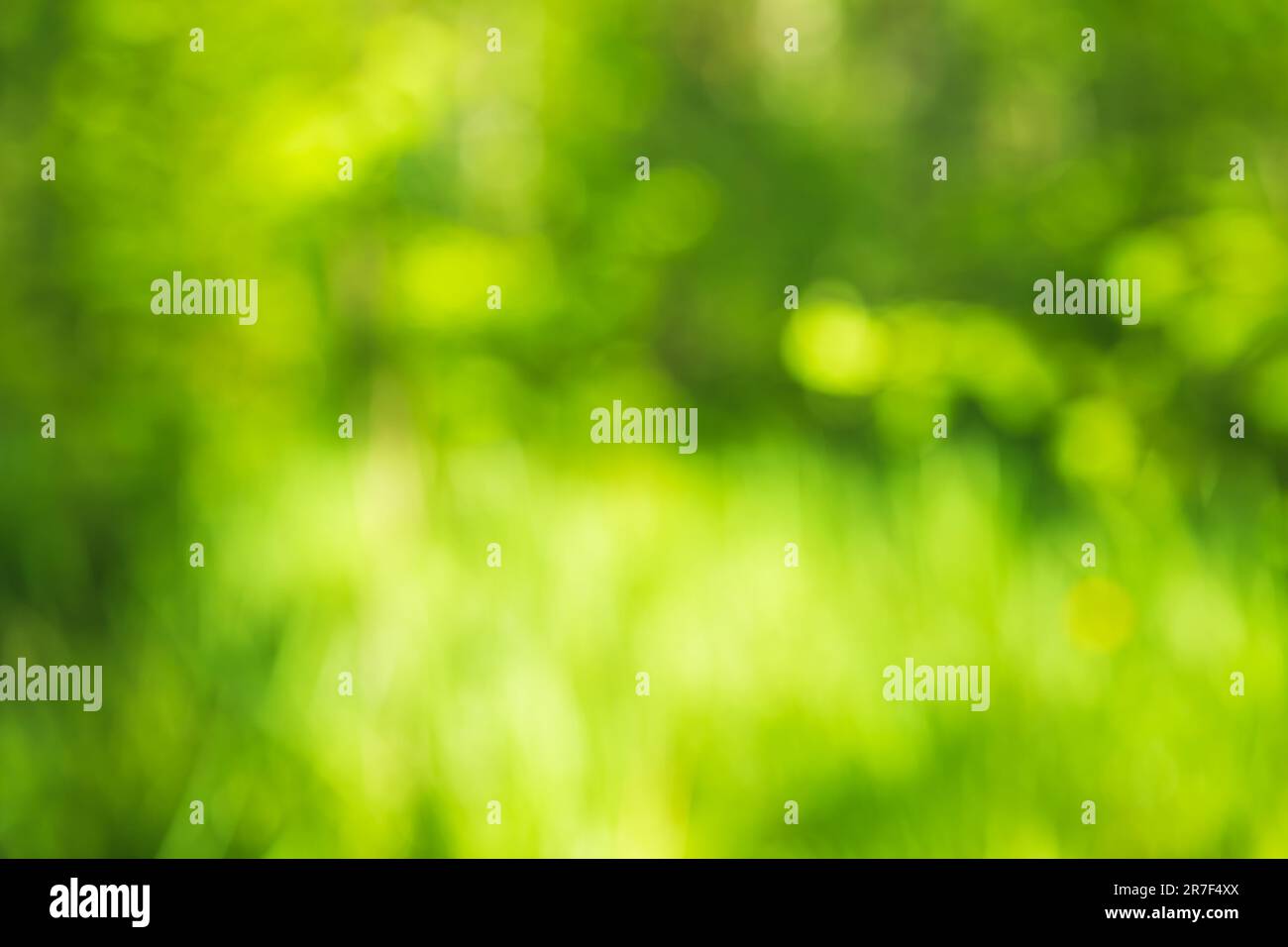 Green abstract natural blurred background. Copy space, defocused. Stock Photo