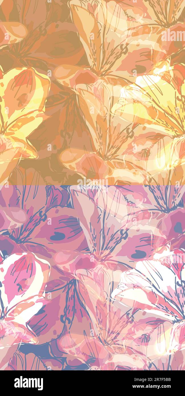 Orange lily illustration Stock Vector Images - Alamy