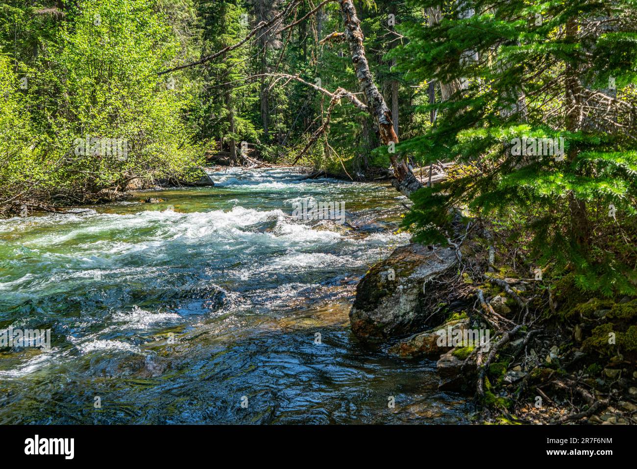 A view of a crystal clear stream along the Chninook Pass in