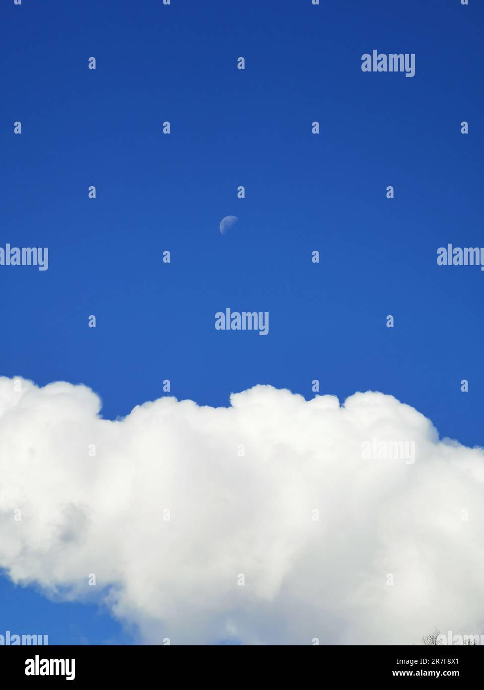 A beautiful morning sky featuring the faint crescent moon and billowy ...