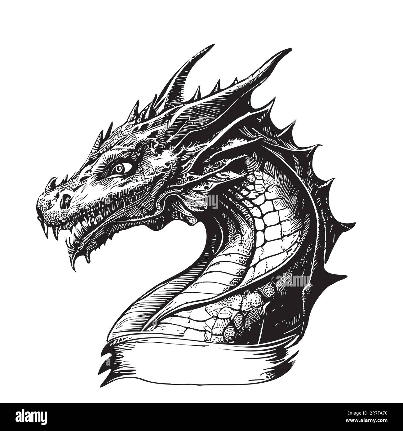 Dragon head drawing hi-res stock photography and images - Alamy